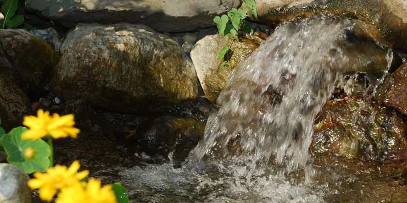 Wasser ist Leben.